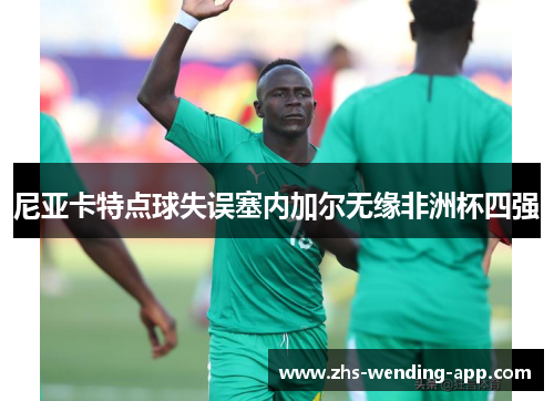 尼亚卡特点球失误塞内加尔无缘非洲杯四强 尼亚卡特点球失误塞内加尔无缘非洲杯四强